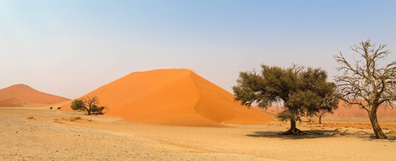 L'Afrique